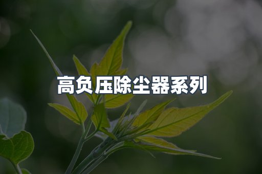 高负压除尘器
