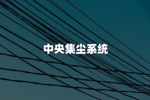 中央集尘系统